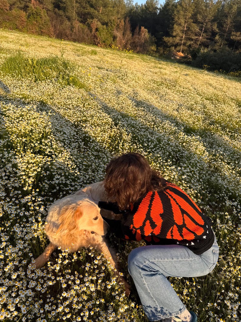 May include: A long-sleeved sweater featuring a black and orange monarch butterfly wing pattern, paired with light blue denim jeans. The sweater has a crew neckline and a knit texture, worn while kneeling in a field of small white flowers.