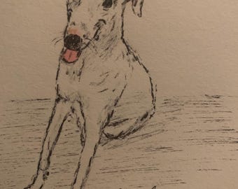 El retrato de Wanda reservado para Louise.