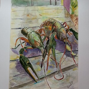 May include: Watercolor painting of several crawfish, in shades of green, brown, and orange, on a wooden surface. The crawfish are depicted with detailed anatomy and are arranged in a naturalistic composition.