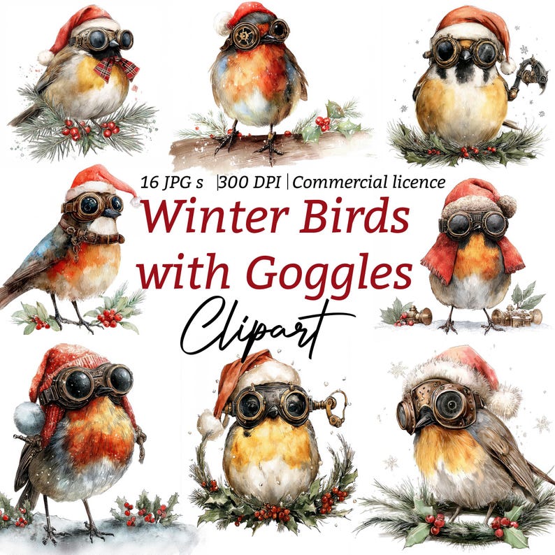 Christmas Bird Clipart, Watercolor Winter Birds With Goggles & Santa ...