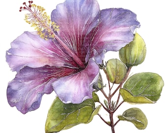 15 Hibiscus Flower Clipart | Tropical Watercolor Hibiscus Blooms | Printable Floral Clipart JPG, Digital Download, Paper Craft, Junk Journal