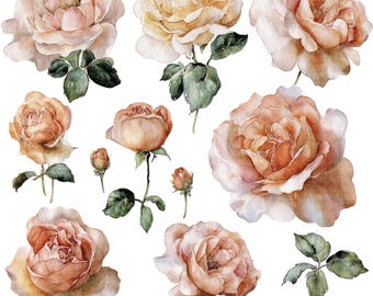 15 aquarel roos-clipart | Vintage blozende rozen met bladeren | Botanische bloemenillustratie JPG, digitale download voor kaarten, ambachten, dagboek