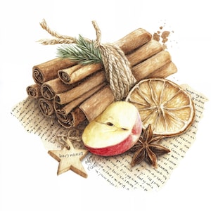 Puede incluir: Ilustración en acuarela de palitos de canela atados con hilo, una rodaja de manzana, naranja seca, anís estrellado y una estrella de madera sobre un fondo de papel. Tema otoñal.