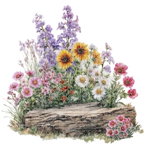 May include: Watercolor illustration of a vibrant flower garden. The image features a variety of colorful flowers, including sunflowers, daisies, and pink and purple blooms, growing around a weathered wooden log. The artwork has a natural, artistic feel.
