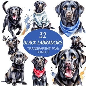 Op de afbeelding: Een verzameling aquarel illustraties met zwarte Labrador Retrievers in verschillende poses. Sommige honden dragen bandana's of truien. De tekst "32 BLACK LABRADORS TRANSPARENT PNG BUNDLE" wordt weergegeven in een blauwe ovaal.