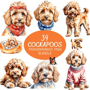 Puede incluir: Una colección de ilustraciones de acuarela de perros Cockapoo. Las imágenes presentan varios Cockapoos con pañuelos, suéteres y collares. El texto "39 Cockapoos Transparent PNG Bundle" se muestra en un óvalo naranja.
