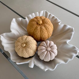Może przedstawiać: Biała ceramiczna misa w kształcie dużego liścia klonu zawierająca trzy małe ozdobne dynie. Dynie mają fakturę i są zabarwione na odcienie musztardowej żółci, jasnego beżu oraz bladego, przygaszonego różowatego szarości z wyraźnymi ogonkami.