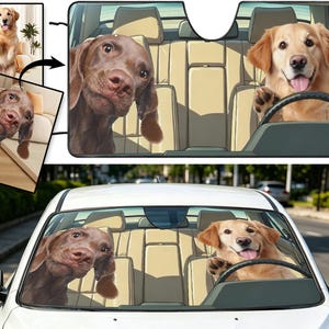 Könnte beinhalten: Ein Auto-Windschutzscheiben-Sonnenschutz mit einer gedruckten Illustration eines braunen Hundes, der von der Beifahrerseite schaut, und eines Golden Retrievers, der auf dem Fahrersitz sitzt und seine Pfote auf das Lenkrad legt.