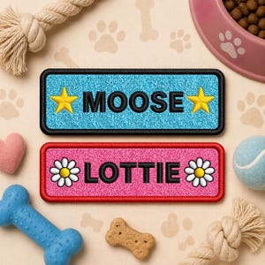May include: Two embroidered pet name patches. One is light blue with the name "MOOSE" and gold stars. The other is pink with the name "LOTTIE" and white daisies. Dog toys and a pink bowl are in the background.