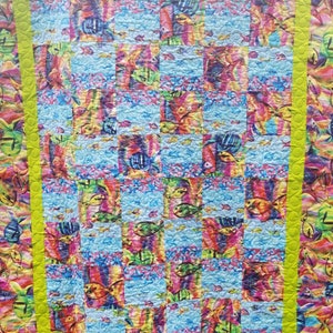 Beautiful Handmade lap to  twin Quilt pieced with by Robyn Pandolph for Rjr fabric backed with moda marbles