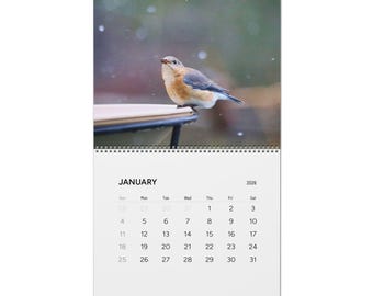 May include: A January 2026 calendar with a bluebird on a bird bath. The bird has blue, brown, and white plumage. The calendar grid displays the days of the month, with the year 2026 in the top right corner.
