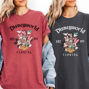 Puede incluir: Dos camisetas, una granate y otra carb&oacute;n, cada una con un gr&aacute;fico de "Disneyworld". El gr&aacute;fico incluye a Mickey Mouse, Minnie Mouse, Donald Duck, Daisy Duck, Goofy y Pluto. Tambi&eacute;n se incluye el texto "EST 1971 FLORIDA".