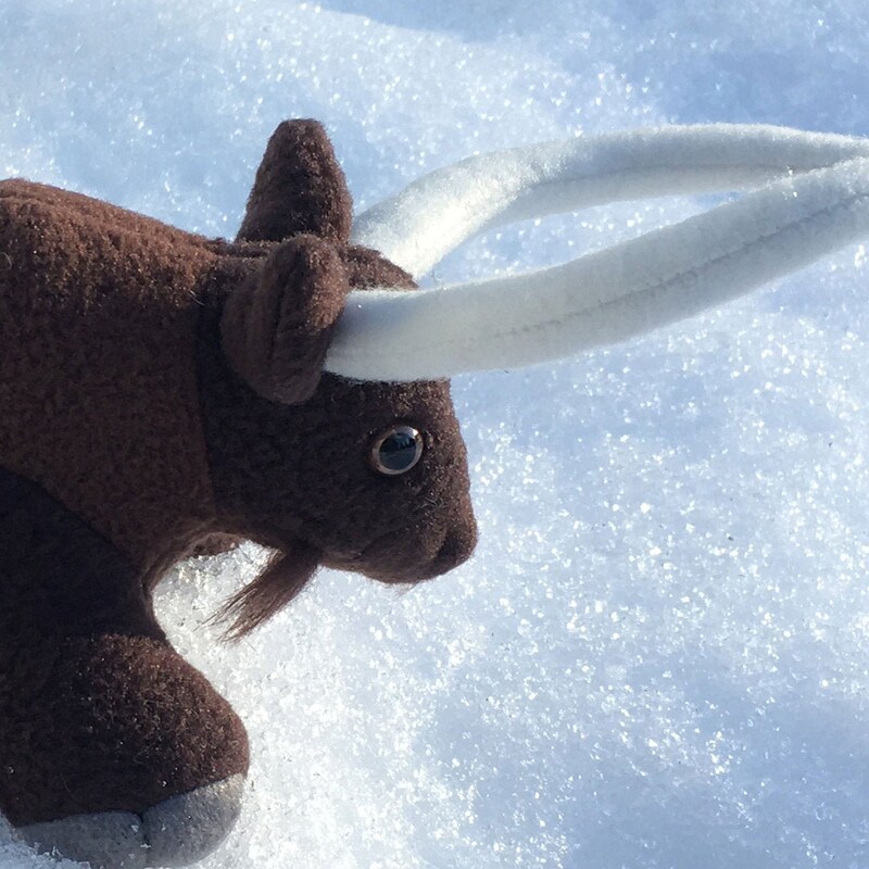 DianesDungeon - Etsy