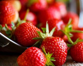 20 Pack Eversweet Everbearer Strawberry Plants, Sweet Summer Berries, Home Garden Live Plants