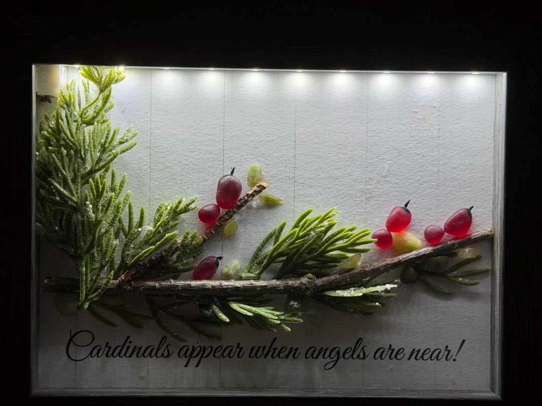 Cardinal Memorial Pebble Art Frame – Sympathy Gift, Remembrance Decor ...
