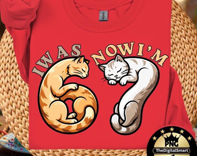 Funny 7th Birthday Cat PNG, Six Seven Meme Shirt Design 6 7 (Digital Download)