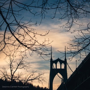 St. Johns Bridge Canvas, square silhouette clouds winter sky and branches