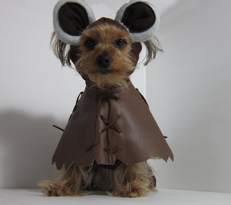 Diy Ewok Dog Costume 13 DIY Halloween Costumes for Dogs This Pug Life