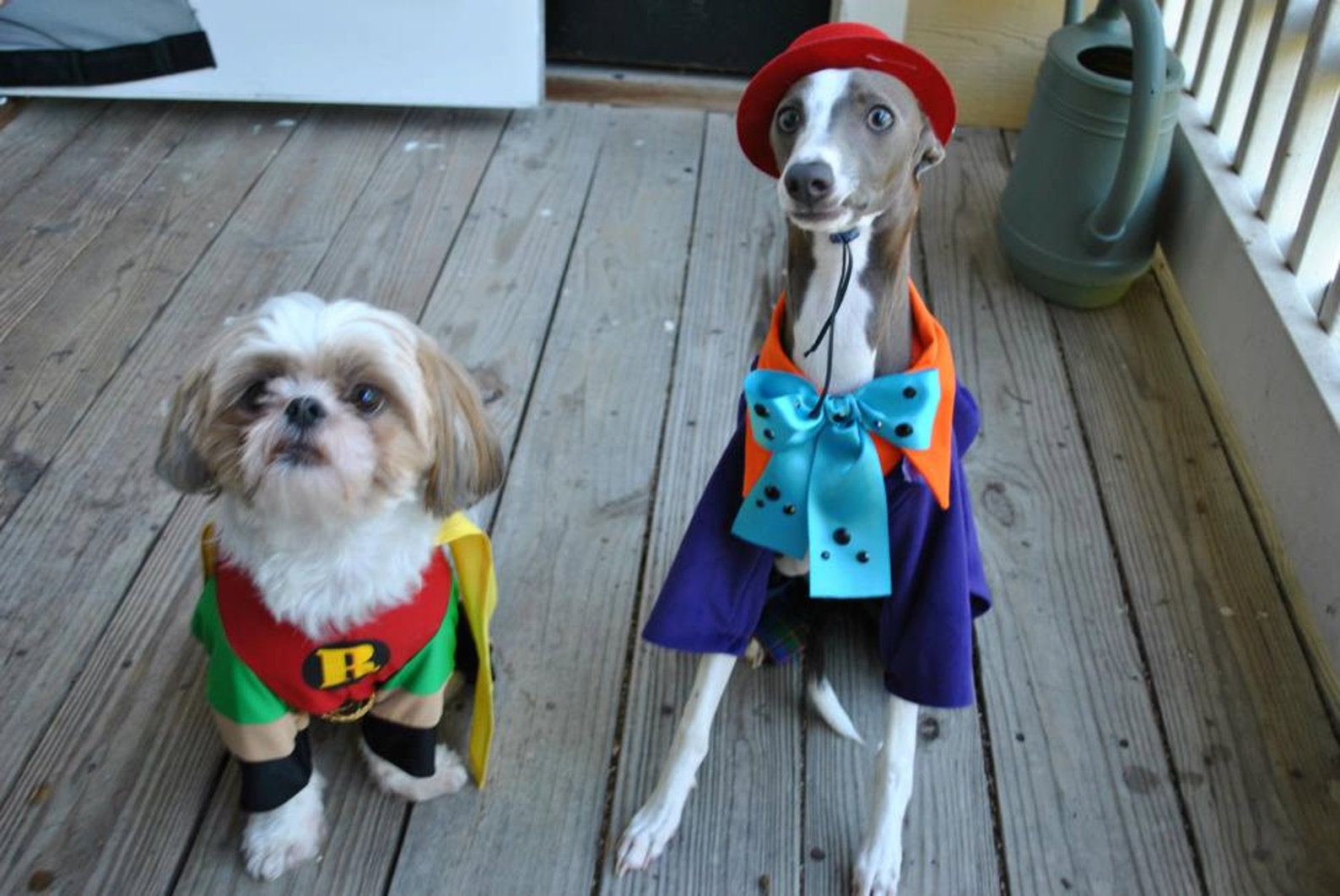 Special order handmade pet costume the joker Dog Etsy