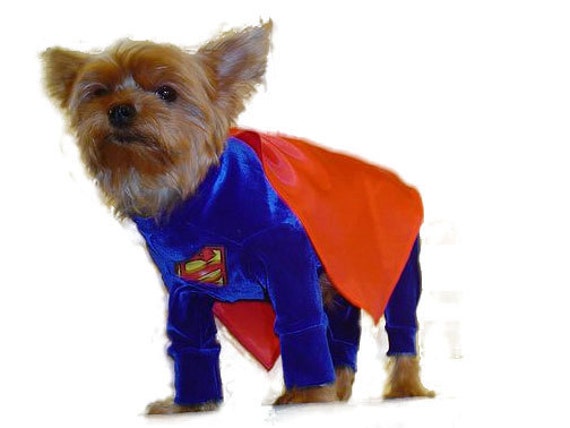 Custom made dog costumes all the 