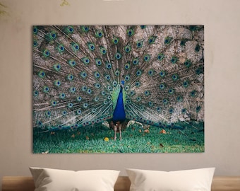 Peacock Wall Art, Colorful Bird Canvas, Elegant Nature Decor for Living Room