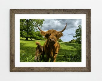 Highland Cow Digital Download – Rustic Farmhouse Wall Art, Nature Photography, Highland Cattle Print, PNG File
