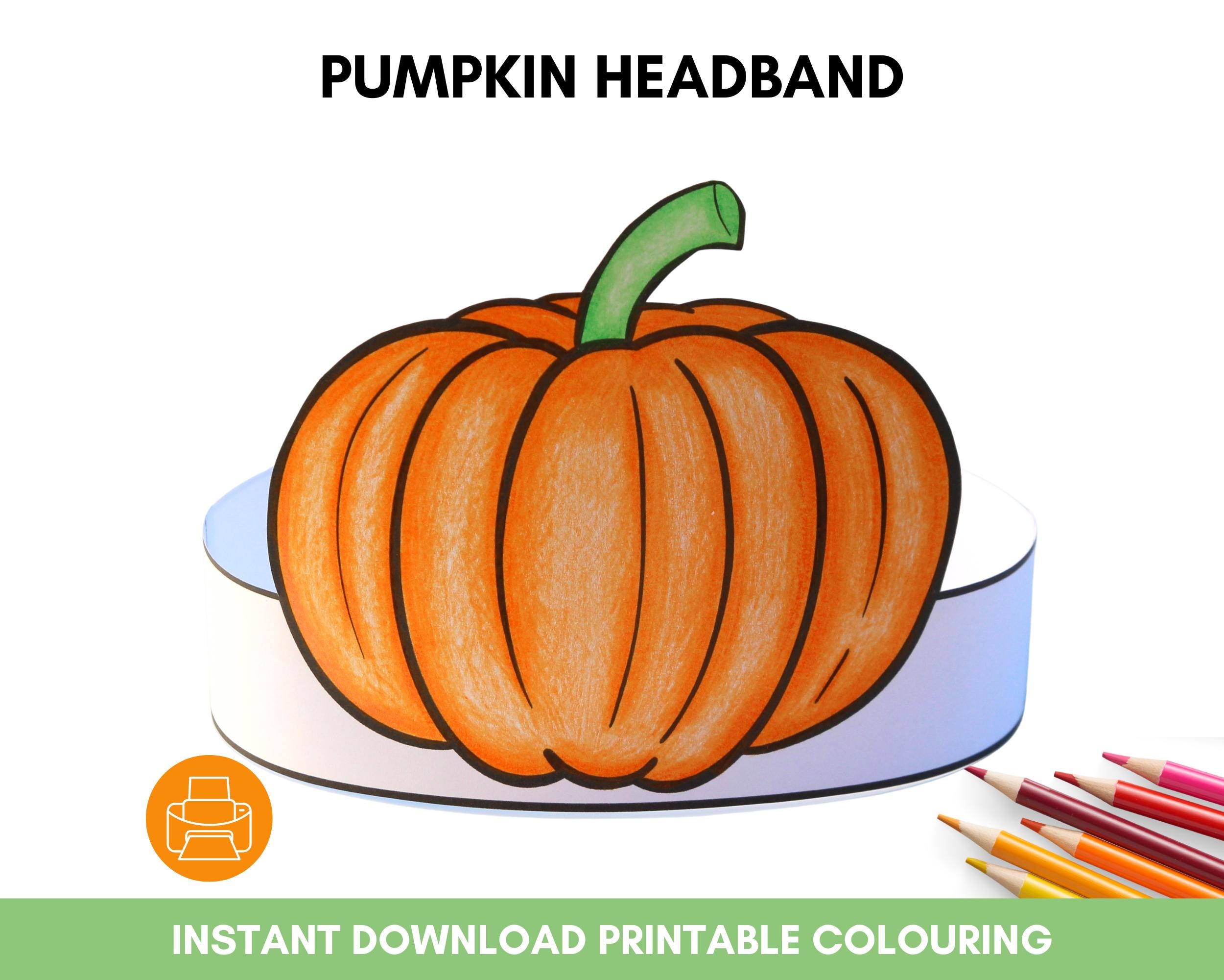 2902 30 Pcs Fall Headbands Bulk Fall Pumpkins Headbands Autumn Thanksgiving Pumpkin Headband - Etsy main image 3