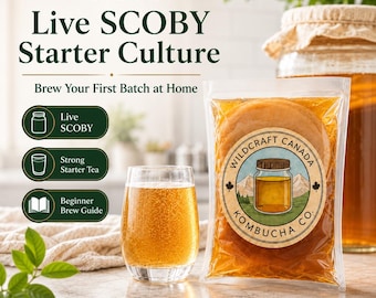 Live Kombucha SCOBY Starter Kit – Strong Starter Tea and Beginner Guide
