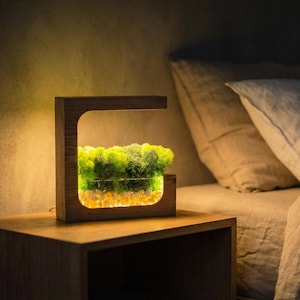 May include: A wooden bedside lamp with a rectangular frame, illuminating a terrarium filled with green moss and yellow pebbles. The lamp sits on a wooden nightstand next to a bed with beige linens.