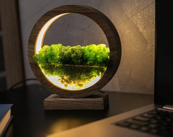 Round Wood Table Lamp with Preserved Moss |  Scandinavian Night Light | Biophilic Decor