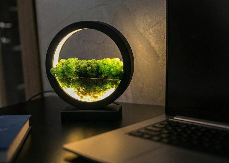 Round Wood Table Lamp with Preserved Moss | Scandinavian Night Light | Biophilic Decor image 16