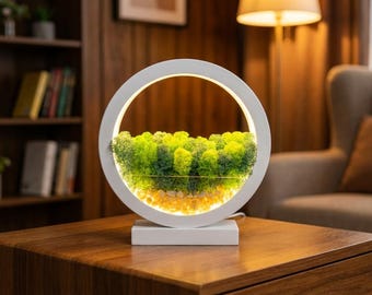 White Wooden Night Light with Moss | Minimalist Desk Lamp | Scandinavian Home Decor Lighting