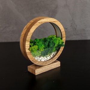 May include: A decorative wooden terrarium with a circular design. The terrarium features a miniature landscape of green moss, small white stones, and a clear glass panel. The wooden frame is light brown and stands on a rectangular base.