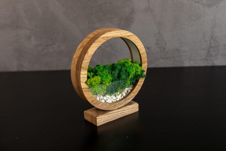 May include: A decorative wooden terrarium with a circular design. The terrarium features a miniature landscape of green moss, small white stones, and a clear glass panel. The wooden frame is light brown and stands on a rectangular base.