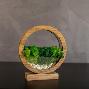 May include: A round wooden terrarium with a natural forest scene. The terrarium features a circular frame, a base, and a glass interior filled with green moss, small white stones, and a miniature forest.