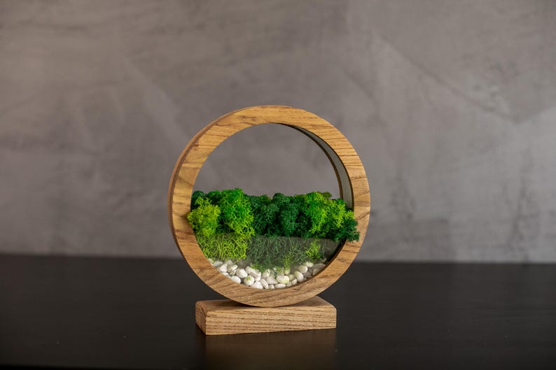 May include: A round wooden terrarium with a natural forest scene. The terrarium features a circular frame, a base, and a glass interior filled with green moss, small white stones, and a miniature forest.