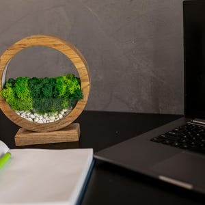 May include: A wooden, circular decorative piece with a natural moss and stone arrangement. The moss is various shades of green, and the stones are white. The piece is on a wooden base. A laptop and notebook with a pen are also on the desk.