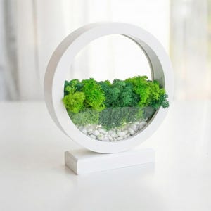 Round Wood Table Lamp with Preserved Moss | Scandinavian Night Light | Biophilic Decor White