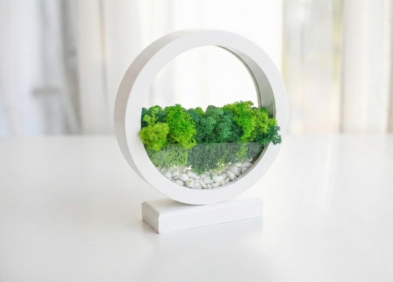 Round Wood Table Lamp with Preserved Moss | Scandinavian Night Light | Biophilic Decor White
