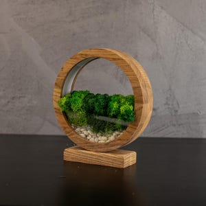 May include: A decorative wooden terrarium with a circular design. The terrarium features a clear glass enclosure filled with vibrant green moss and small white pebbles. The wooden frame has a natural finish and sits on a rectangular base.