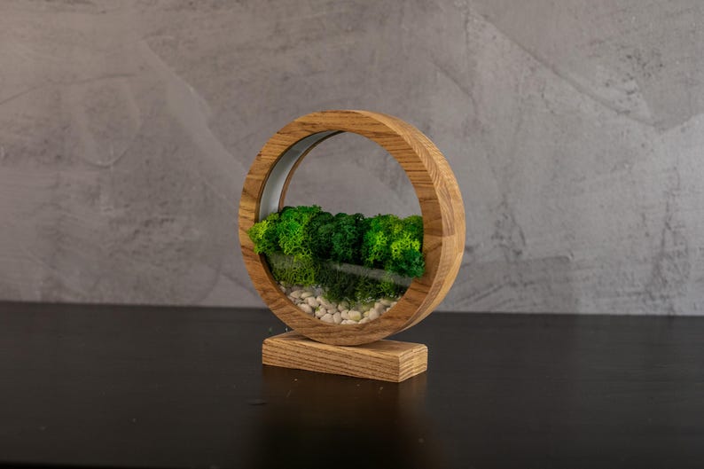May include: A decorative wooden terrarium with a circular design. The terrarium features a clear glass enclosure filled with vibrant green moss and small white pebbles. The wooden frame has a natural finish and sits on a rectangular base.