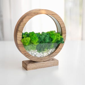 May include: A wooden, circular terrarium with a natural wood finish. The terrarium features a glass front, filled with vibrant green moss, small white stones, and a backdrop of additional green moss. The base is a rectangular wooden stand.