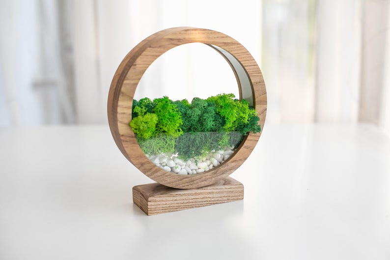 May include: A wooden, circular terrarium with a natural wood finish. The terrarium features a glass front, filled with vibrant green moss, small white stones, and a backdrop of additional green moss. The base is a rectangular wooden stand.