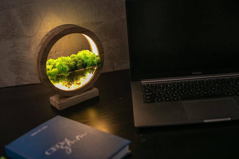 May include: A wooden, circular decorative lamp with a built-in light. The lamp features a miniature landscape with green moss and a reflective surface, creating a serene scene. A laptop and a blue book are also visible.