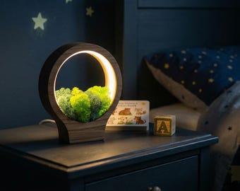Wooden Moss Night Light | Handmade Terrarium Desk Lamp (USB-C Powered)