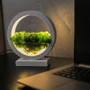 Round Wood Table Lamp with Preserved Moss | Scandinavian Night Light | Biophilic Decor image 14