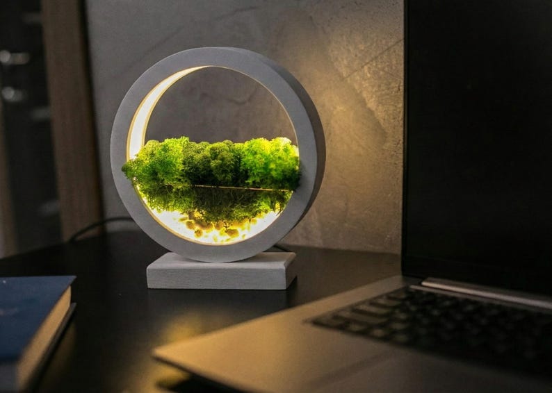 Round Wood Table Lamp with Preserved Moss | Scandinavian Night Light | Biophilic Decor image 14