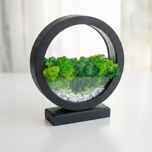 Round Wood Table Lamp with Preserved Moss | Scandinavian Night Light | Biophilic Decor Black