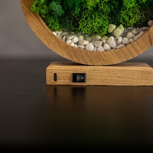 May include: A round wooden terrarium with a base, filled with green moss and small white stones. The terrarium has a built-in on/off switch and a USB port. The wooden frame is light brown.