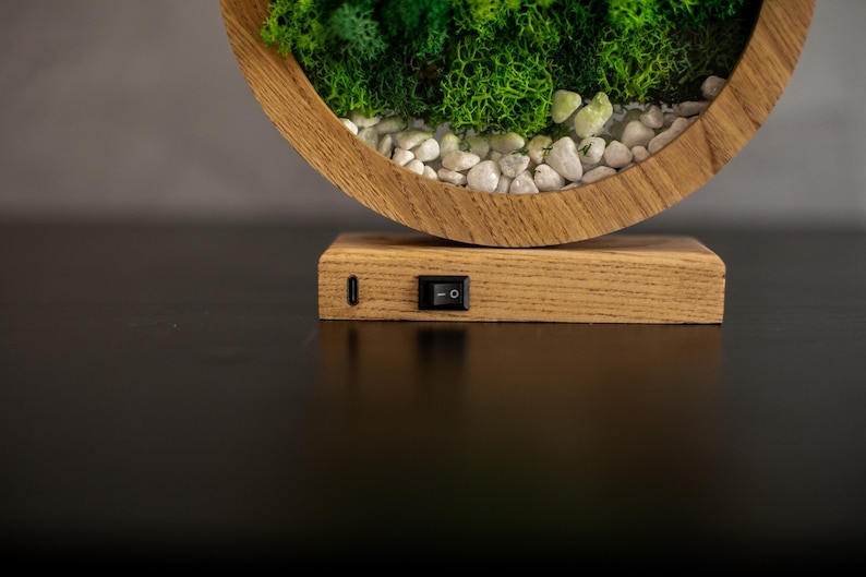 May include: A round wooden terrarium with a base, filled with green moss and small white stones. The terrarium has a built-in on/off switch and a USB port. The wooden frame is light brown.